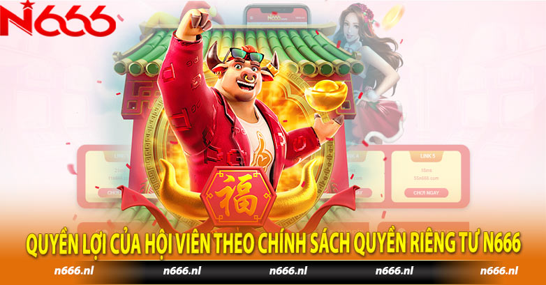 Quyền lợi của hội viên theo chính sách Quyền Riêng Tư N666